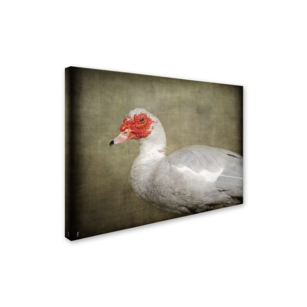 Jai Johnson 'Red Head Muscovy Duck' Canvas Art,18x24